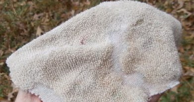 5 Acres & A Dream: How To Make A Buck Rag