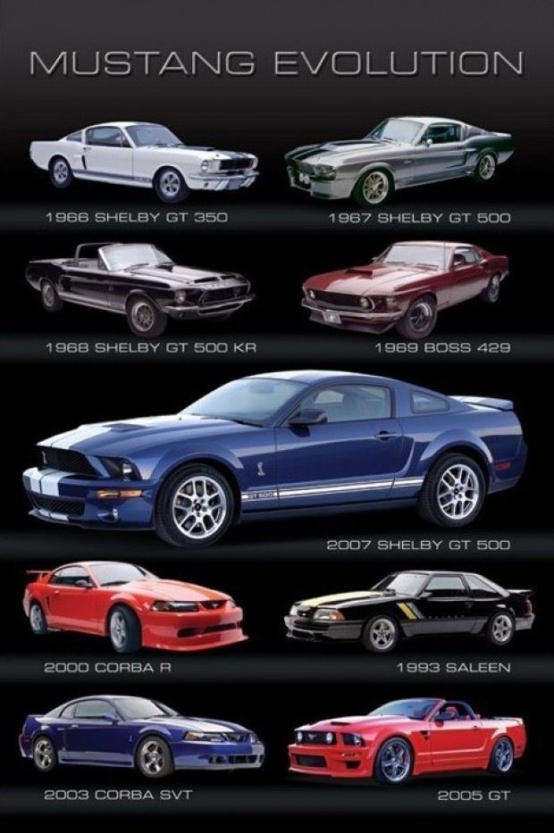 Infografias Evolución Del Mustang