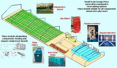 ... Commercial Aquaponics Systems Plans : Aquaponics Within Your Backyard
