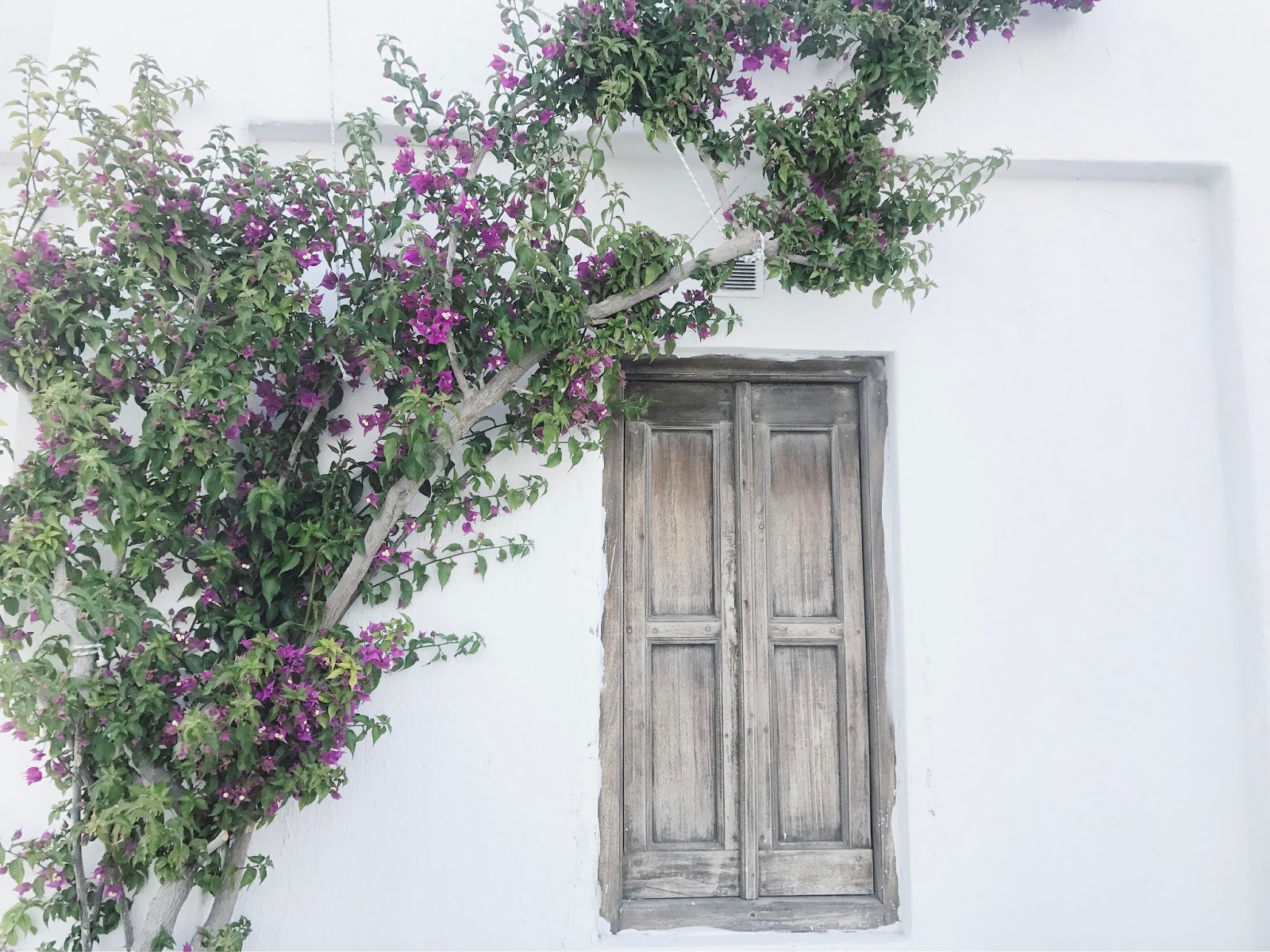 April 2017 The Dirt Diaries