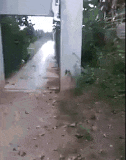 6ae2d25c500fe8e0885433c22b3bbc2c.gif