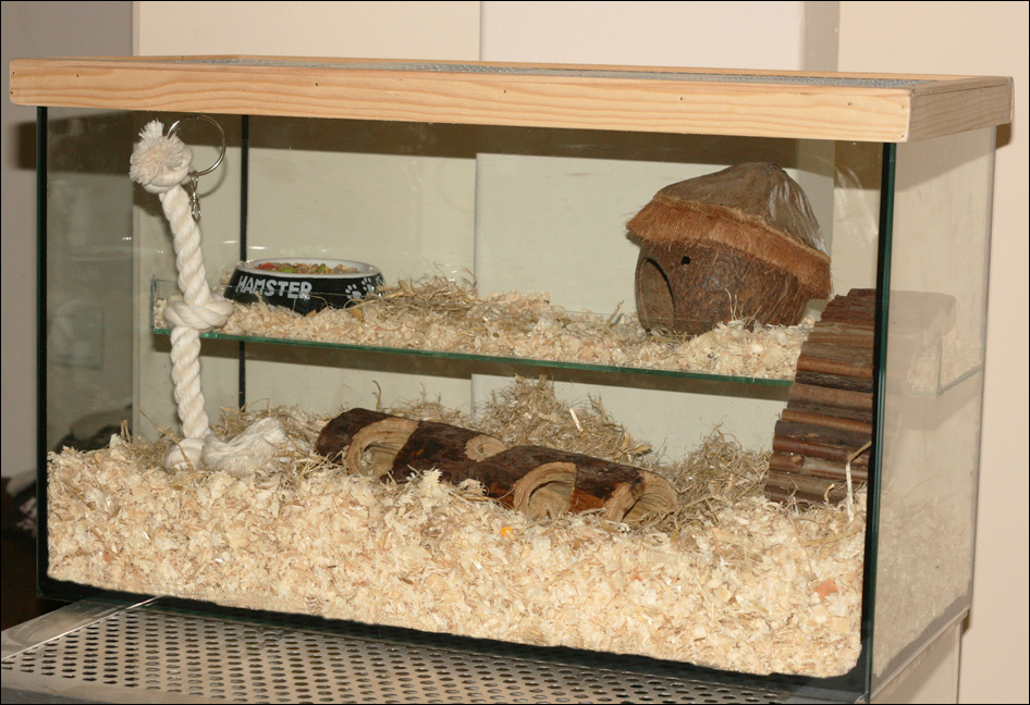 Fuzzy Feet 'n' Furry Tails Gerbils G is for gerbilarium...