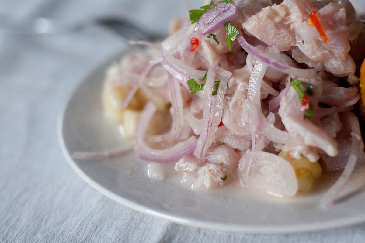 Cuadernillo de recetas: CEBICHE