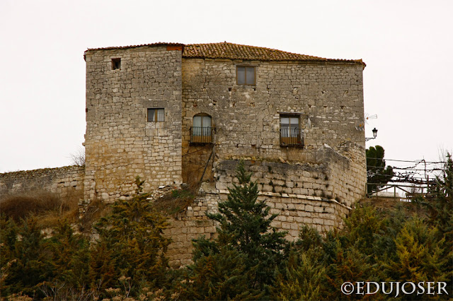 EDUJOSER PALACIO FORTIFICADO DE LOS HERRERA, PALENZUELA (Palencia)