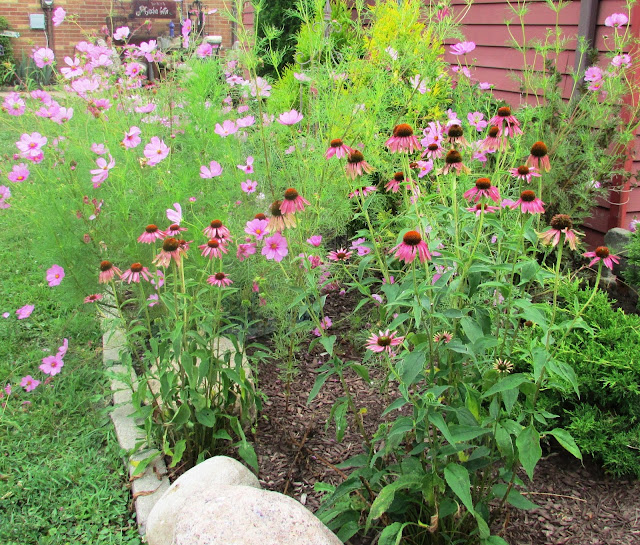 Backyard Blooms a Summer Garden Tour Rustic & Refined