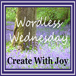 http://www.create-with-joy.com/2017/05/wordless-wednesday-king-of-the-castle.html