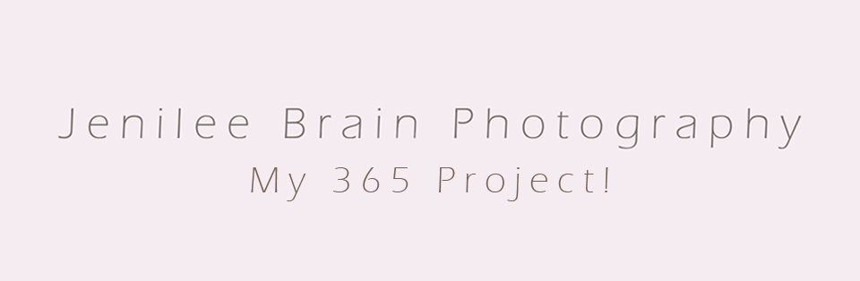 Jenilee Brain Photography 365!
