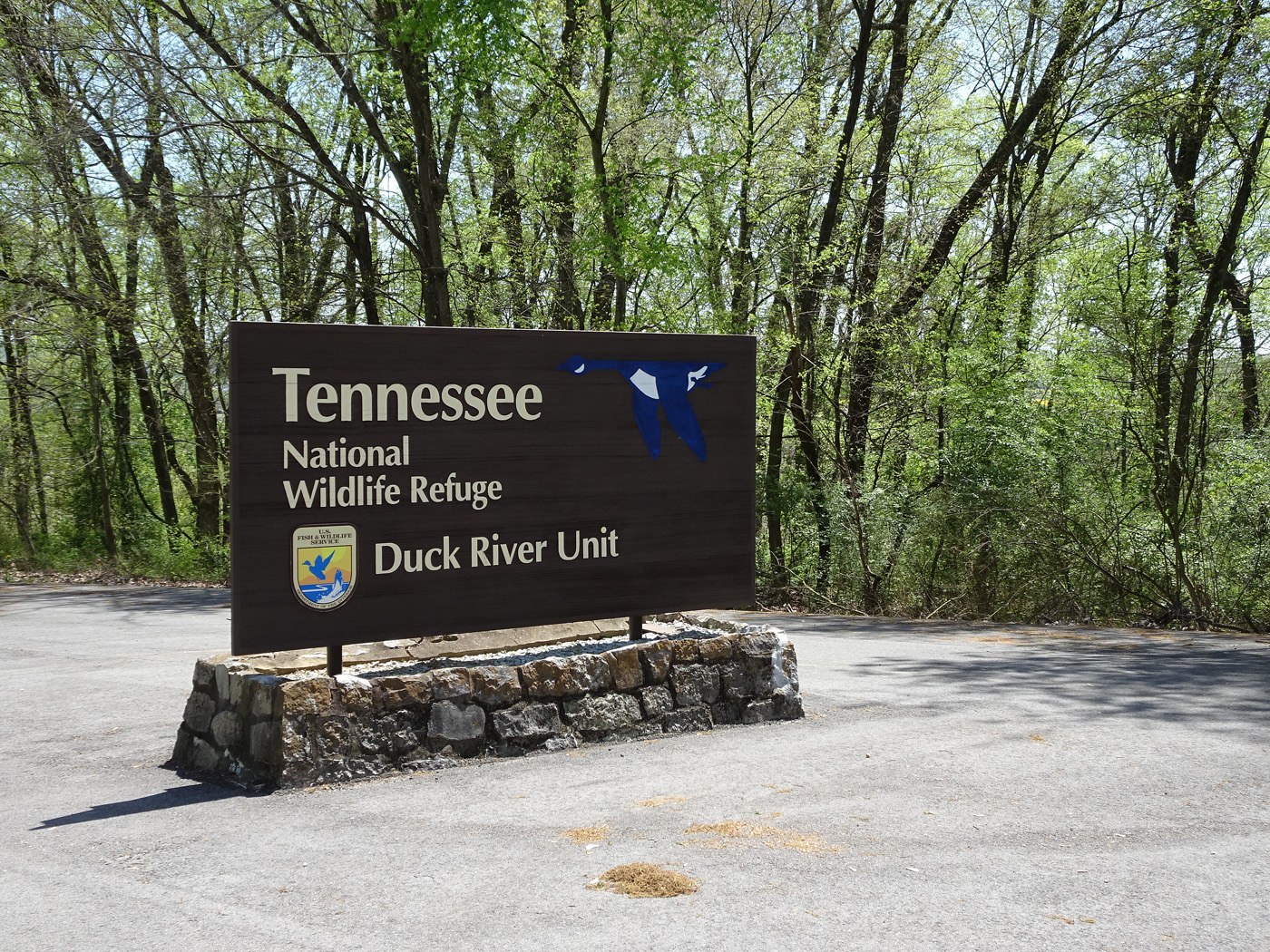 Mark & Teri's Travels Tennessee National Wildlife Refuge