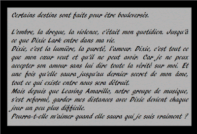 Neon dreams, tome Missind Dixie Casey Quinn