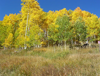 Colorado Fall Foliage Drives