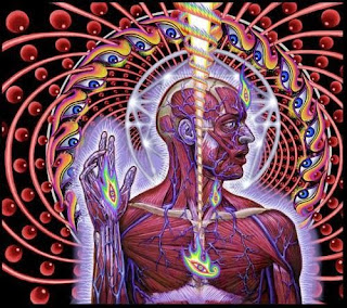 Rahasia Mata Ketiga Mengaktifkan Chakra Ajna Dengan Teknik Meditasi Zaramozzoe