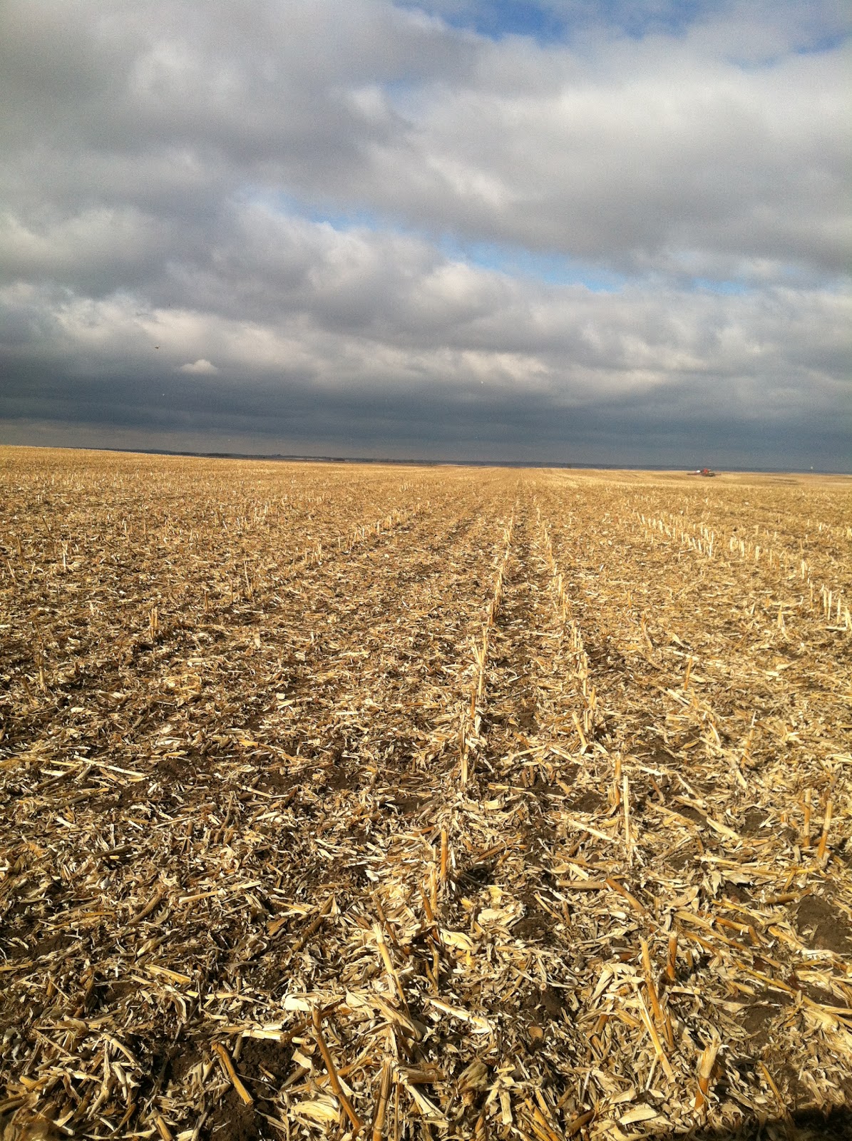 Weckerly Farms NoTill Seeding Wheat into Corn Stalks
