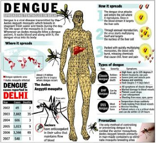dengue+fever+wiki