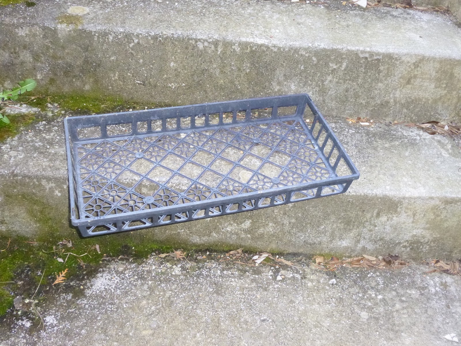 REFLECTIONS Prevent Leaves from Clogging My Drain
