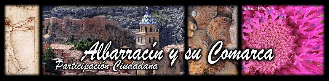 Albarracín y su Comarca, Participación Ciudadana on-line