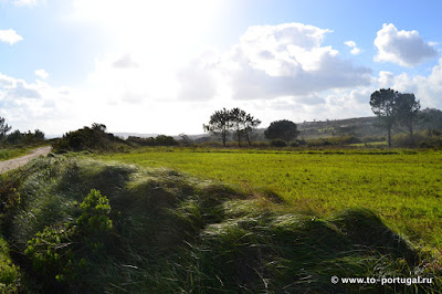 пешие туры в Португалии для любителей природы