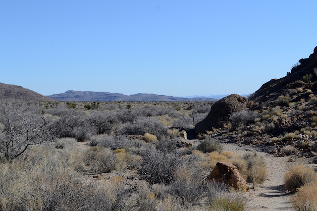trail in the desert