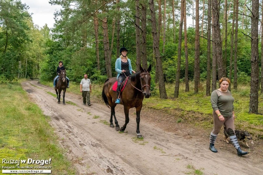 Kociewie na 4 kopyta - Ośrodek Patataj w Mirotkach