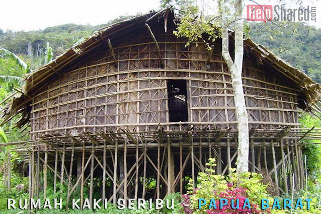 rumah kaki seribu rumah kaki seribu