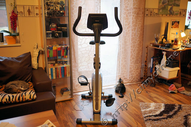 Heimtrainer Montreux