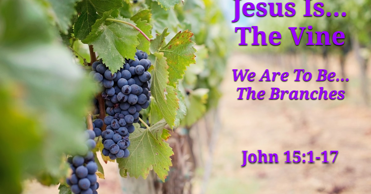 Jesus Is The Vine, We Are To Be The Branches John 15117 (Wednesday