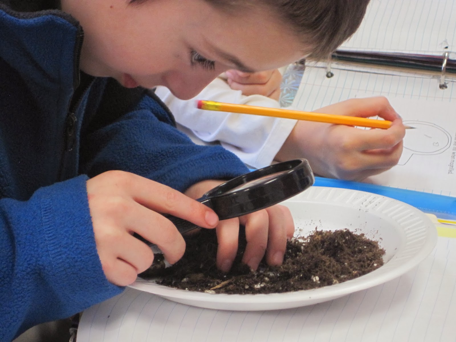 The Third Grade Learning Spot Soil Study