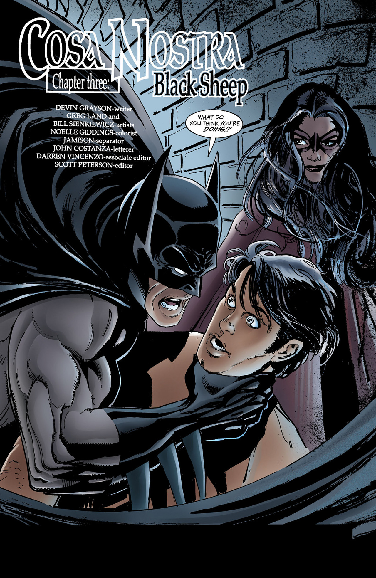 Read online Nightwing and Huntress comic -  Issue #3 - 2