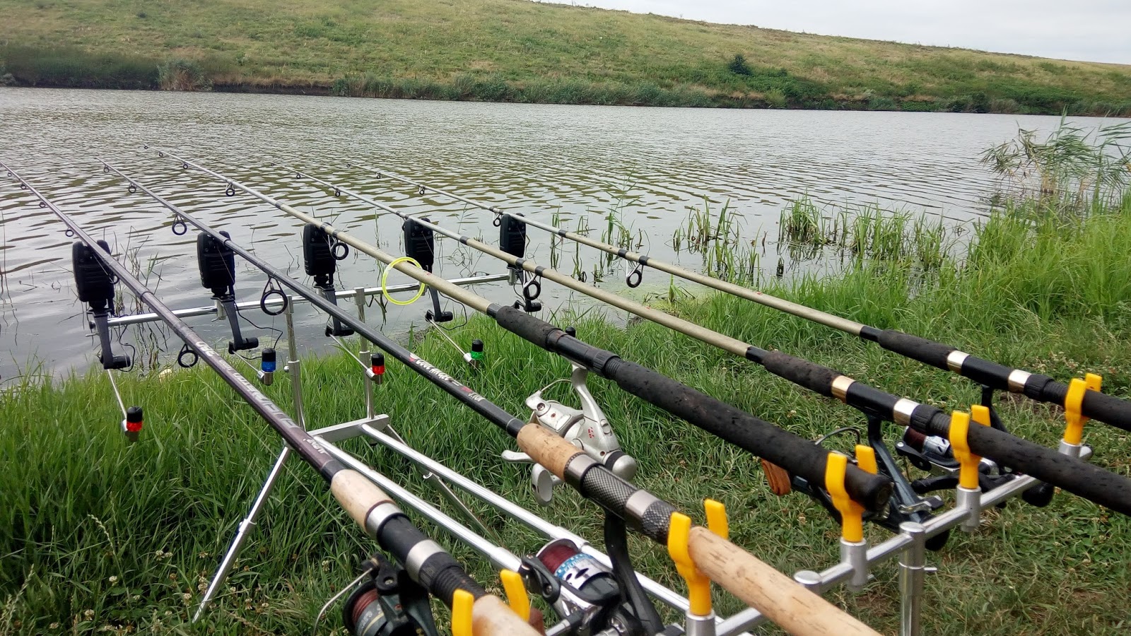 What Are The Best Categories Of Carp Fishing Rods