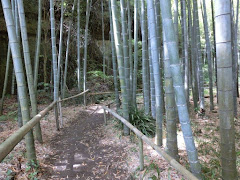 英勝寺竹林