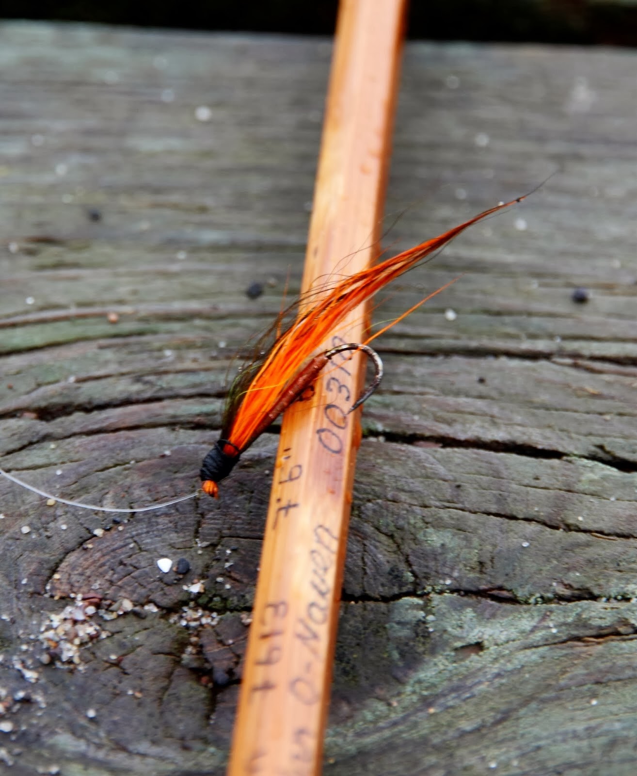 Small Stream Reflections: The 