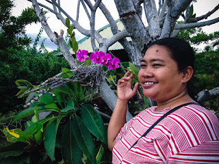 Woman Traveler Posing Beside Purple Orchid Flower Plant In The Garden North Bali Indonesia