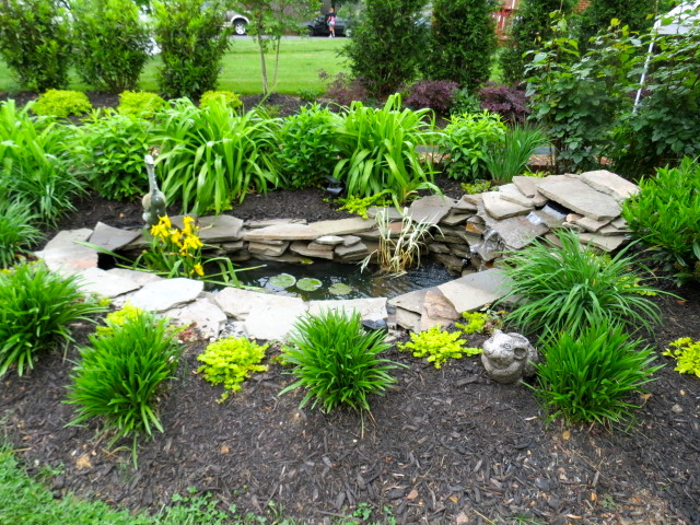 Morning Musings: Beyond the Garden Gates - 2013