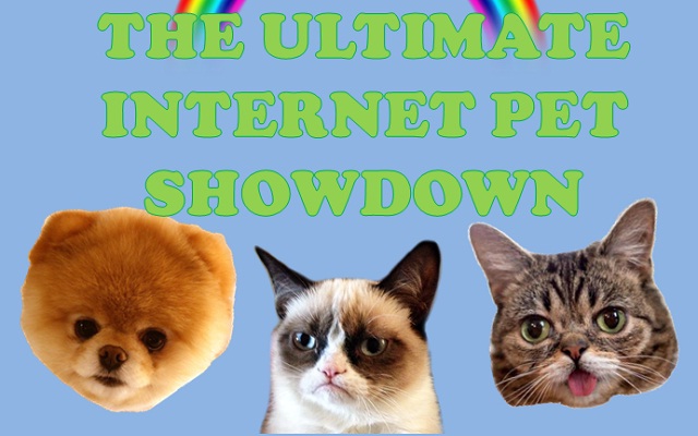Image: The Ultimate Internet Pet Showdown