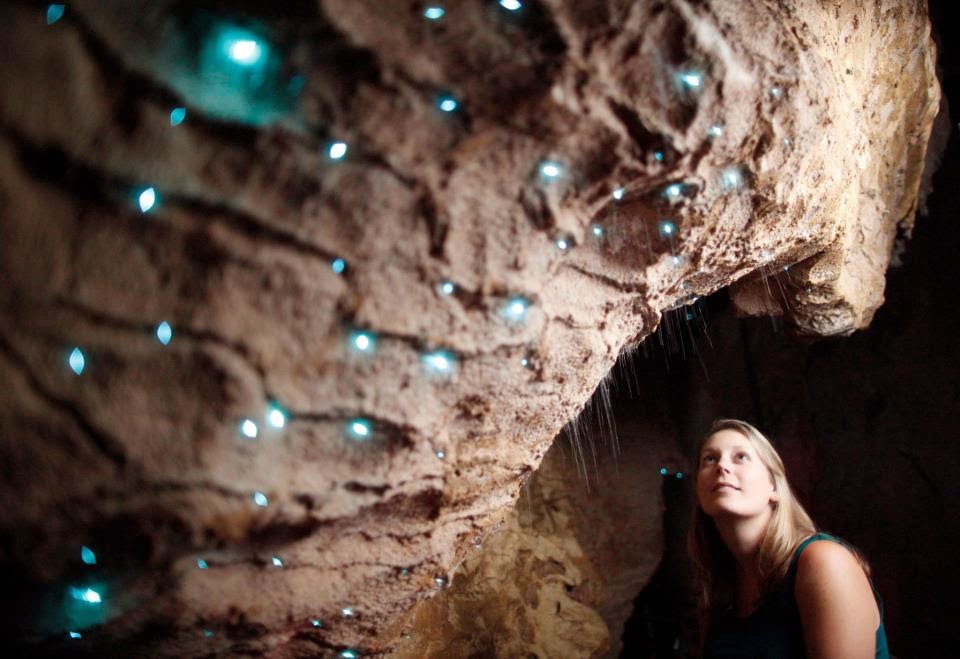 Amazing Caves in the World - Waitomo Glowworms Cave in New Zealand