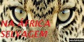 Na África Selvagem - Animais da África