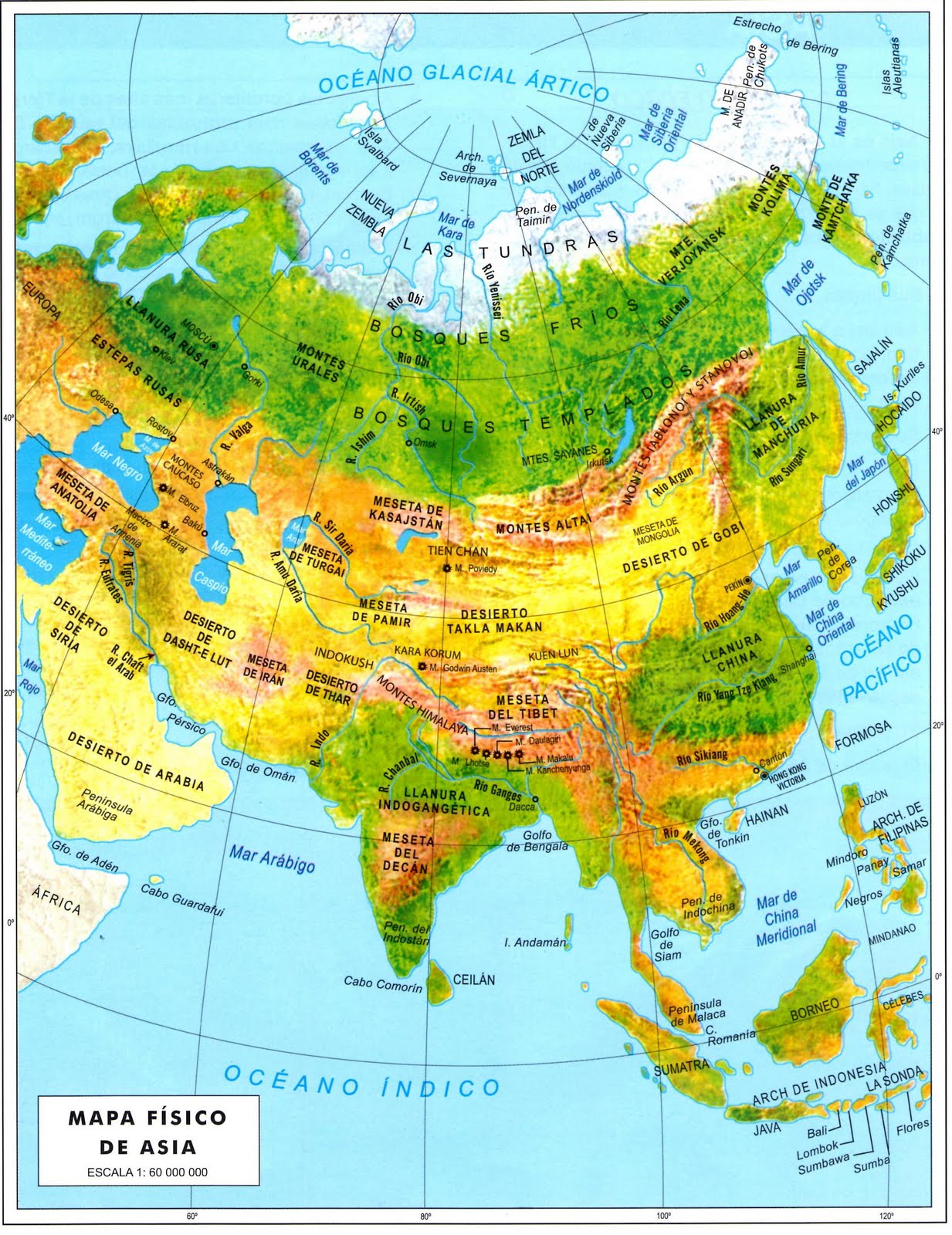Continente de Asia Continente de Asia