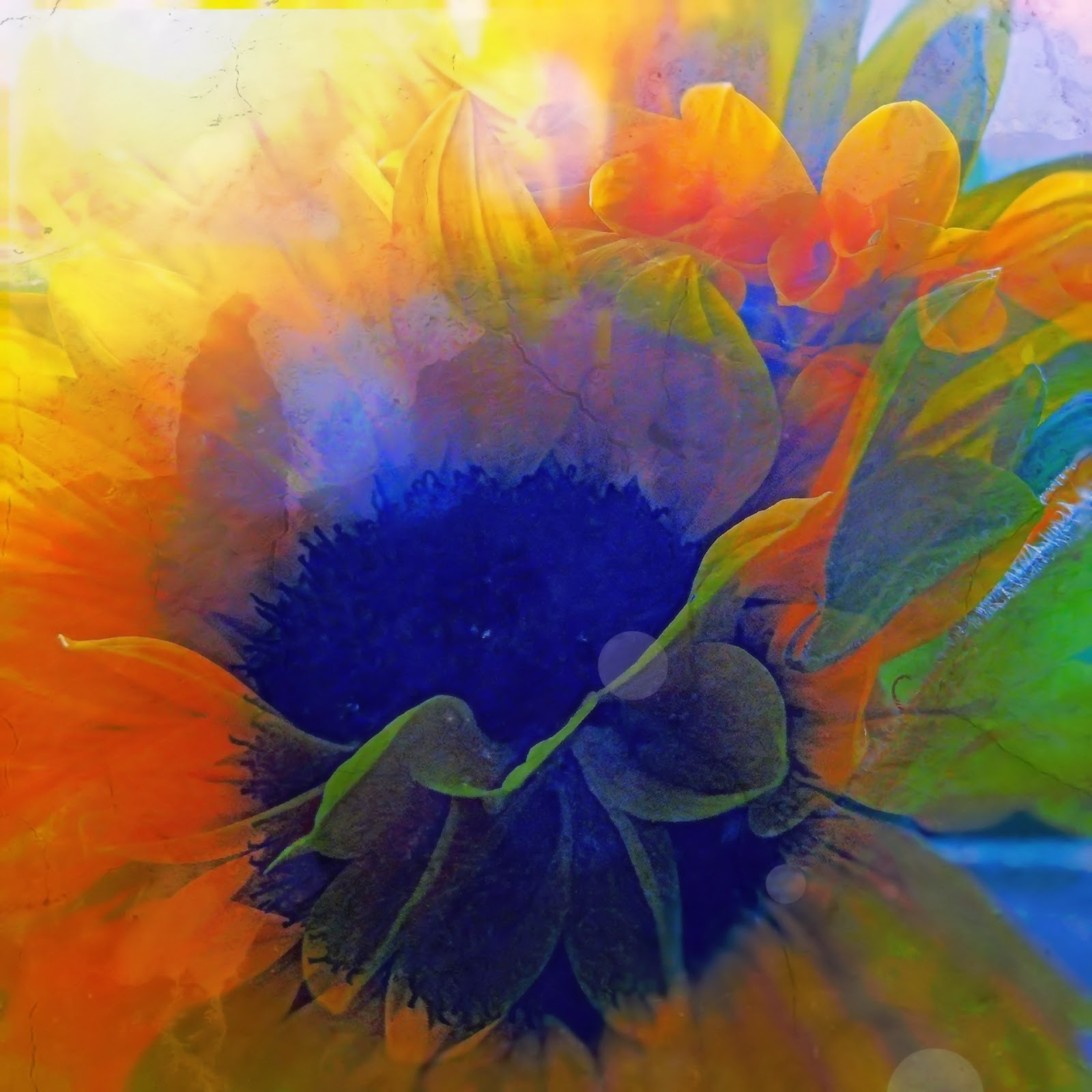 Burgerportal Bergisch Gladbach Nachrichten Hintergrunde Termine