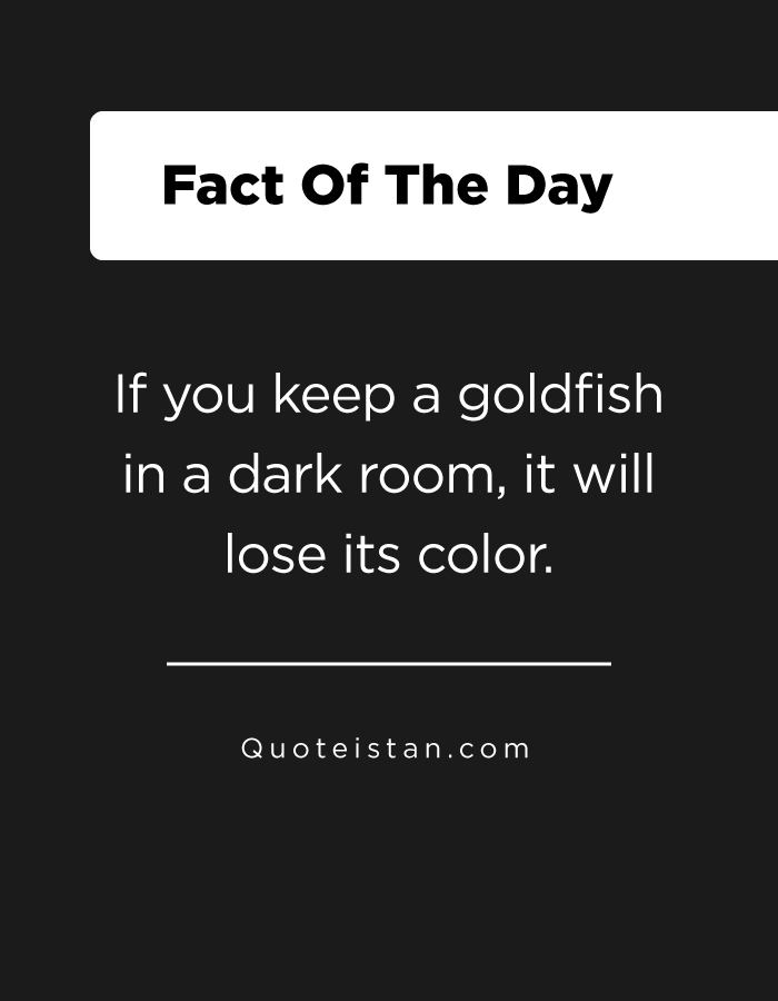 If you keep a goldfish in a dark room, it will lose its color.