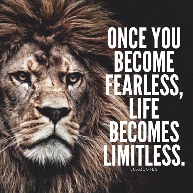 #5 Quotes About Being A Lion - Train Hard Gym Quotes