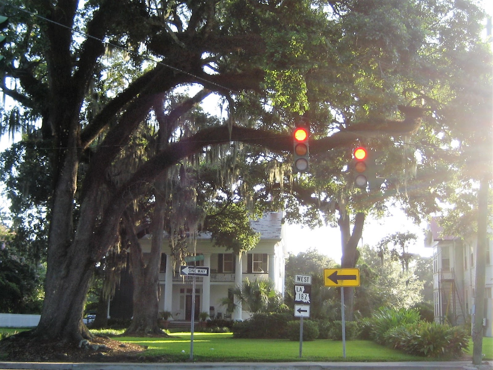 Living Rootless Louisiana New Iberia Pretty Pretty