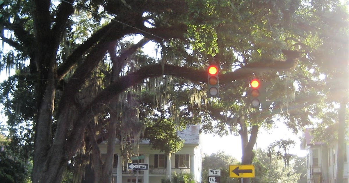 Living Rootless Louisiana New Iberia Pretty Pretty