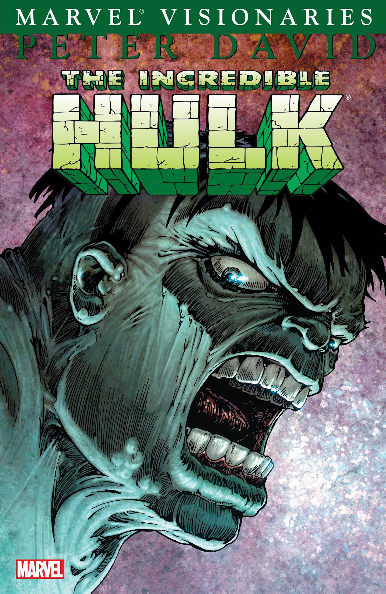 Read online Hulk Visionaries: Peter David comic -  Issue # TPB 3 - 1