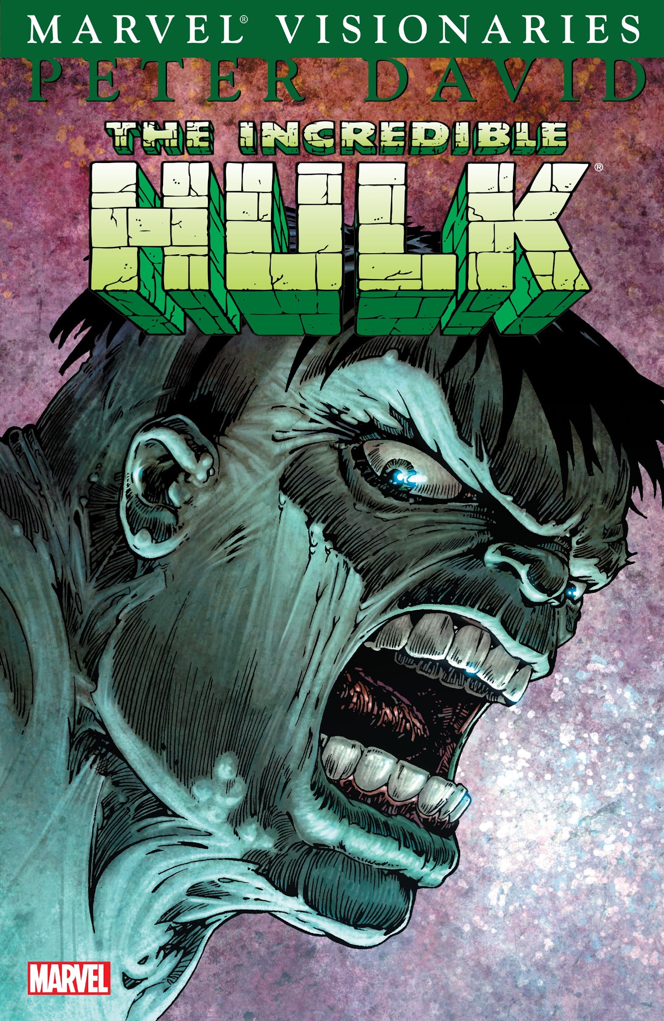 Read online Hulk Visionaries: Peter David comic - Issue # TPB 3 - 1