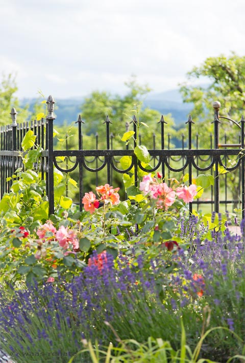 Gartenblog Geniesser Garten Bauerngarten Landhausgarten
