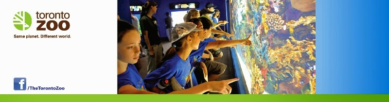 One Tank Trips: Zoo Camp and the Serengeti Bush Camp Overnight ...