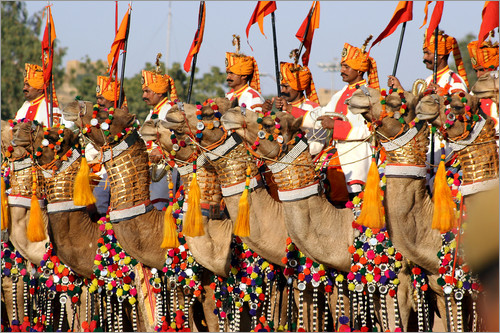 Camel Festival Bikaner,Rajasthan