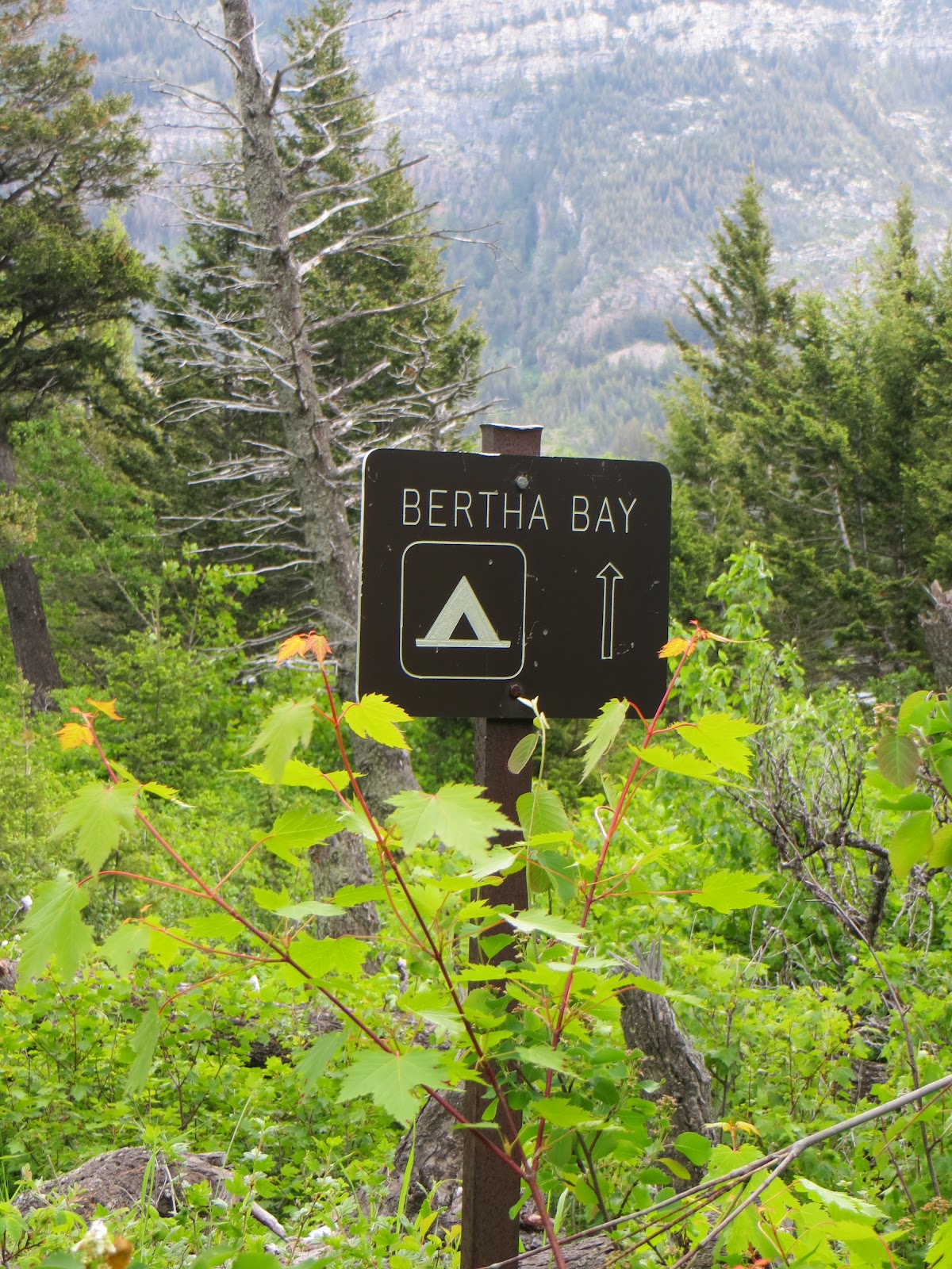 The Humble Hiker Bertha Lake, Waterton Lakes National Park