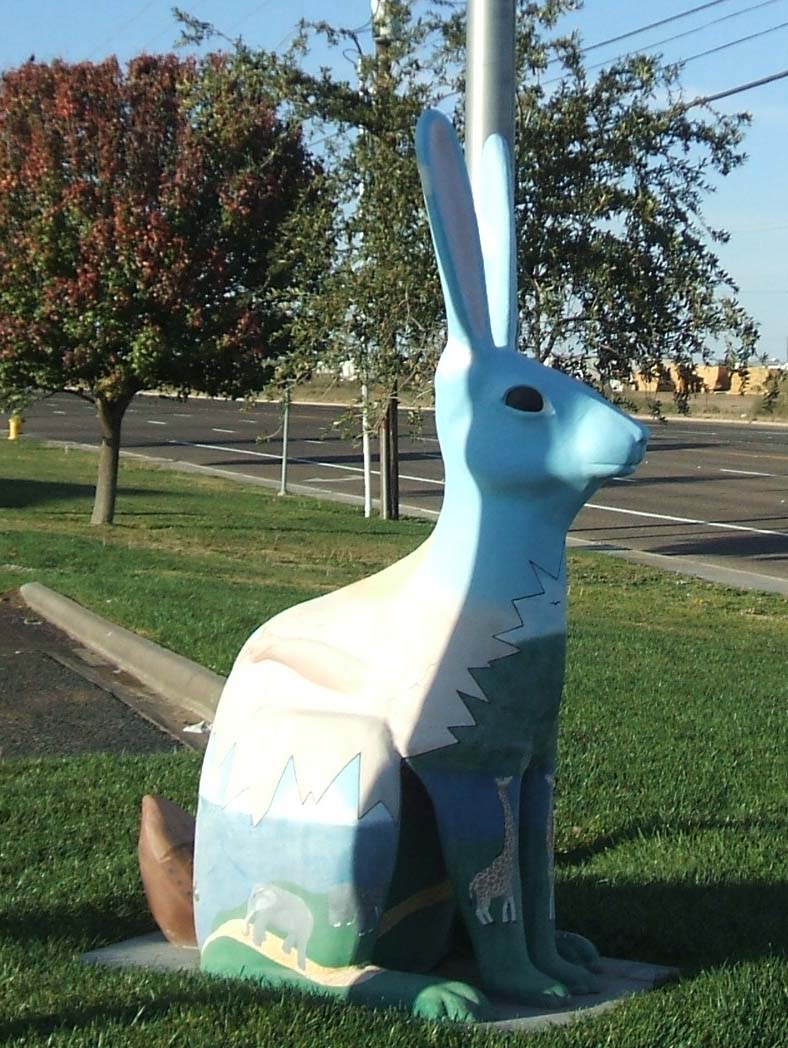 Freedom At 51: Rabbits Rabbits Rabbits