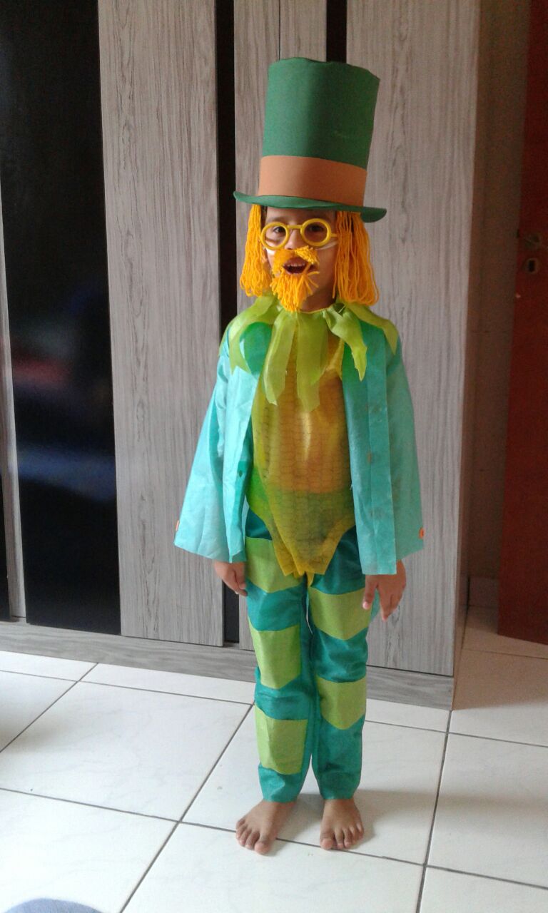 Cinderela Artesã FANTASIA INFANTIL VISCONDE DE