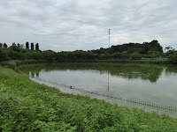 花博記念公園鶴見緑地 大池
